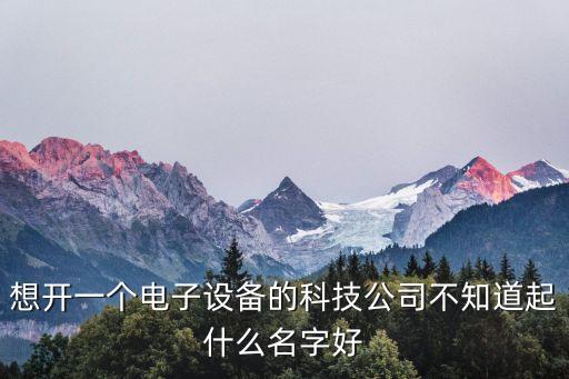 想開一個電子設(shè)備的科技公司不知道起什么名字好