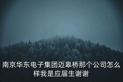 南京華東電子集團(tuán)邁皋橋那個(gè)公司怎么樣我是應(yīng)屆生謝謝