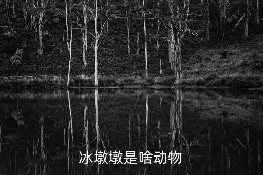 冰墩墩是啥動(dòng)物