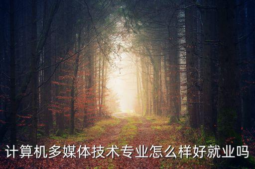 計(jì)算機(jī)多媒體技術(shù)專業(yè)怎么樣好就業(yè)嗎