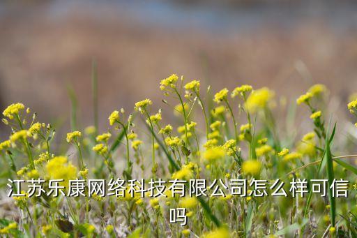 江蘇樂(lè)康網(wǎng)絡(luò)科技有限公司怎么樣可信嗎