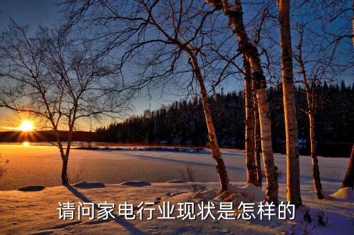 請問家電行業(yè)現(xiàn)狀是怎樣的
