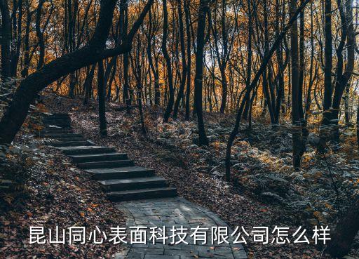 昆山同心智能科技怎么樣，同心科技主要是做什么的