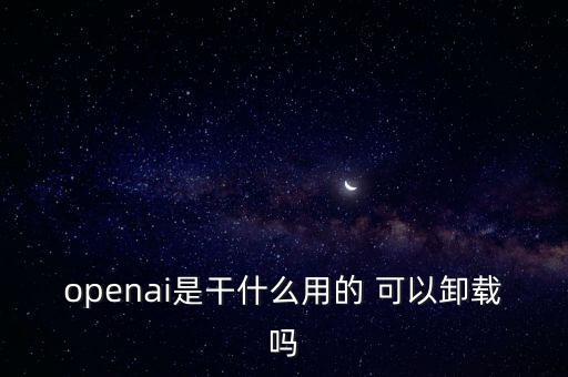 openai是干什么用的 可以卸載嗎