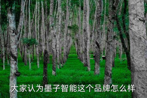 大家認(rèn)為墨子智能這個品牌怎么樣