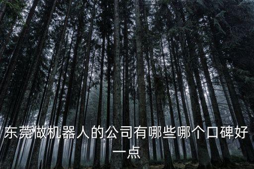 東莞做機(jī)器人的公司有哪些哪個(gè)口碑好一點(diǎn)