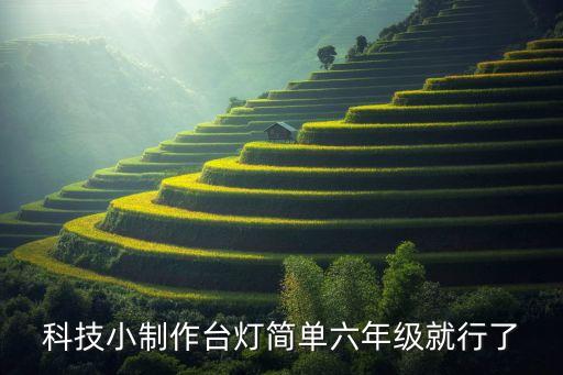 科學小制作小臺燈，科技小制作臺燈簡單六年級就行了