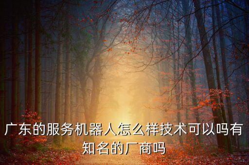 廣東的服務(wù)機(jī)器人怎么樣技術(shù)可以嗎有知名的廠商嗎