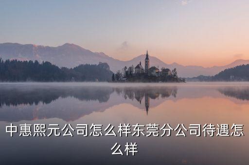 東莞天卓智能科技怎么樣，中惠熙元公司怎么樣?xùn)|莞分公司待遇怎么樣