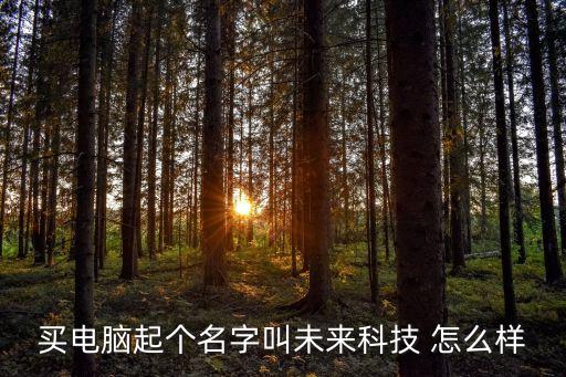 買電腦起個名字叫未來科技 怎么樣