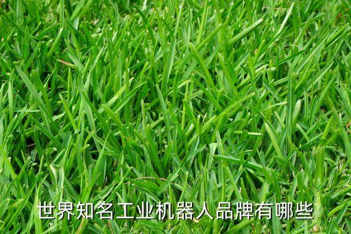 世界知名工業(yè)機(jī)器人品牌有哪些