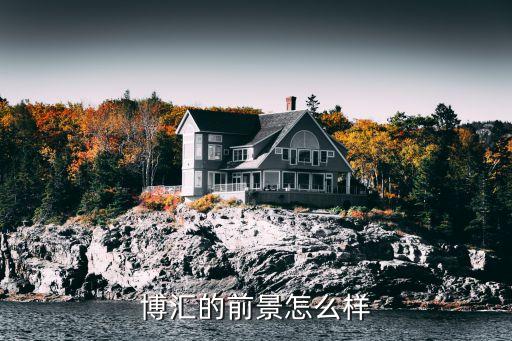 深圳博匯智能科技怎么樣，博匯的前景怎么樣