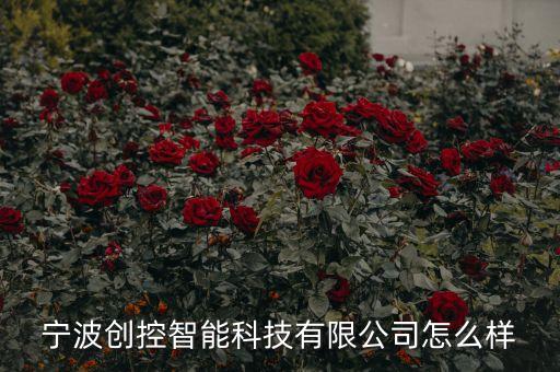葦渡智能科技廠怎么樣，深圳威普極客智能科技有限公司怎么樣
