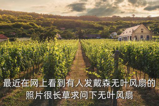 最近在網(wǎng)上看到有人發(fā)戴森無葉風(fēng)扇的照片很長草求問下無葉風(fēng)扇