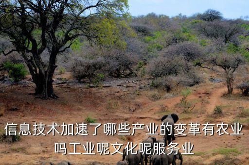 科技賦能產(chǎn)業(yè)升級，信息技術加速了哪些產(chǎn)業(yè)的變革有農(nóng)業(yè)嗎工業(yè)呢文化呢服務業(yè)
