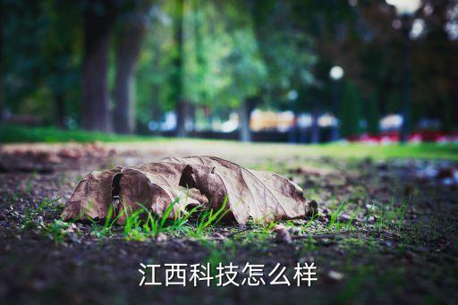 江西海訊智能科技怎么樣，誰對(duì)南昌云端網(wǎng)絡(luò)有了解啊這家在技術(shù)方面怎么樣