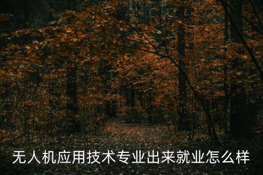 無人機應用技術專業(yè)出來就業(yè)怎么樣