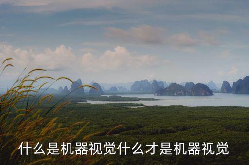 什么是機器視覺什么才是機器視覺