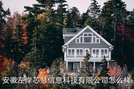 安徽左文智能科技怎么樣，安徽左岸芯慧信息科技有限公司怎么樣