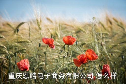 重慶恩諾智能科技怎么樣，展諾智能科技怎么樣