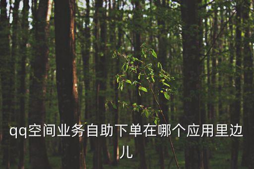qq空間業(yè)務(wù)自助下單在哪個(gè)應(yīng)用里邊兒