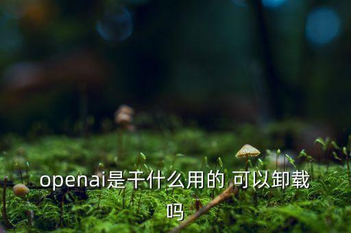 openai是干什么用的 可以卸載嗎