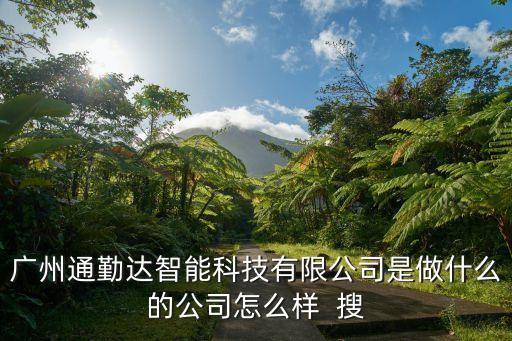 什么叫智能科技有限公司，冠軍智能科技有限公司主要是做啥的