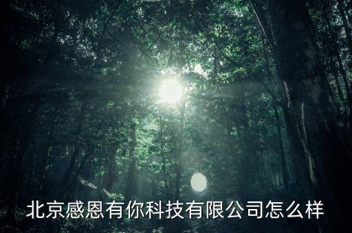北京感恩有你科技有限公司怎么樣