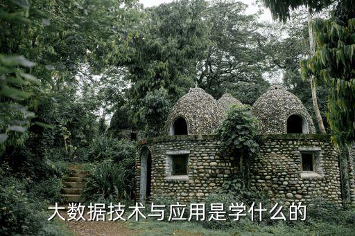 大數(shù)據(jù)技術與應用是學什么的