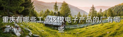 重慶有哪些工業(yè)區(qū)做電子產(chǎn)品的廠有哪些