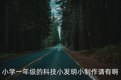 一年級科技小制作，小學(xué)一年級的科技小發(fā)明小制作請有啊