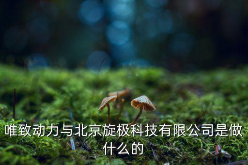 硒科智能科技是做什么的，唯致動(dòng)力與北京旋極科技有限公司是做什么的