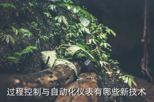 過(guò)程控制與自動(dòng)化儀表有哪些新技術(shù)
