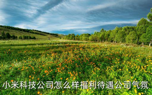 菏澤小米智能科技怎么樣，菏澤i科技公司設(shè)備是真的嗎有買過的人說說怎么樣可以貸款嘛