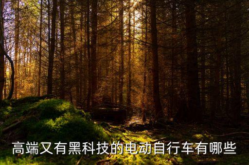高端又有黑科技的電動(dòng)自行車有哪些