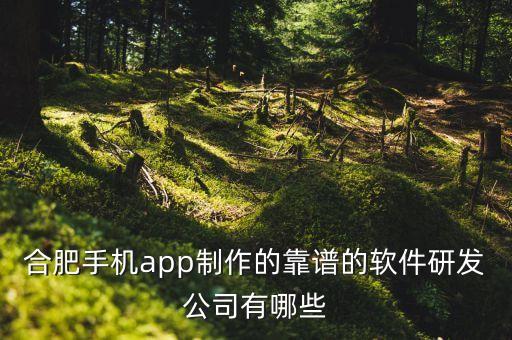 合肥瑞德智能科技做什么的，合肥那幾家公司做的事是有關(guān)于電子方面的