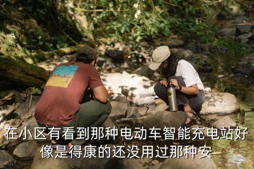 在小區(qū)有看到那種電動(dòng)車智能充電站好像是得康的還沒用過那種安