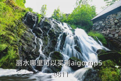 麗水哪里可以買到aigo mp5 e811
