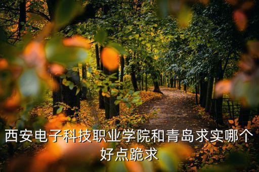 西安電子科技職業(yè)學(xué)院和青島求實(shí)哪個(gè)好點(diǎn)跪求