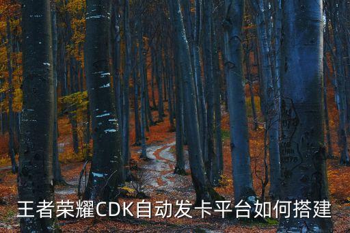發(fā)卡網(wǎng)站免費搭建，有沒有大神幫忙搭建一個個人發(fā)卡平臺