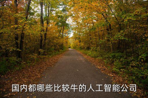 國內(nèi)都哪些比較牛的人工智能公司