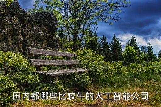 國內(nèi)都哪些比較牛的人工智能公司
