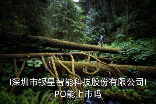 I深圳市銀星智能科技股份有限公司IPO能上市嗎
