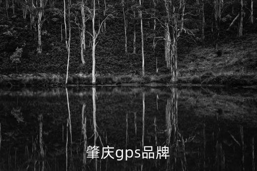 肇慶gps品牌