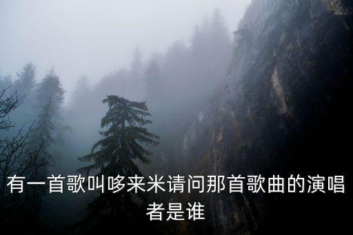 哆來米，哆來咪還有什么意思