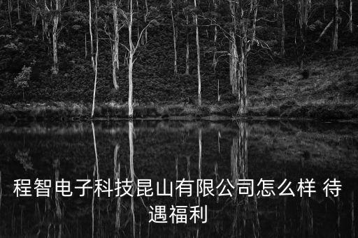 程智電子科技昆山有限公司怎么樣 待遇福利
