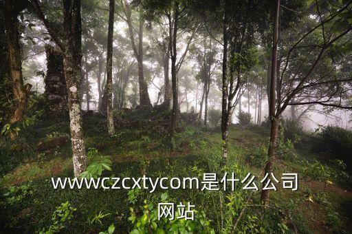 wwwczcxtycom是什么公司網(wǎng)站