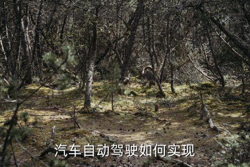 汽車自動駕駛?cè)绾螌崿F(xiàn)