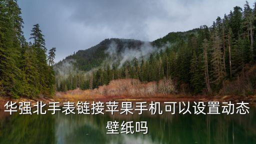 華強北手表鏈接蘋果手機可以設置動態(tài)壁紙嗎