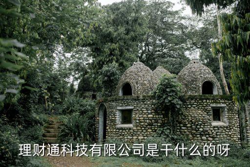 理財通科技有限公司是干什么的呀